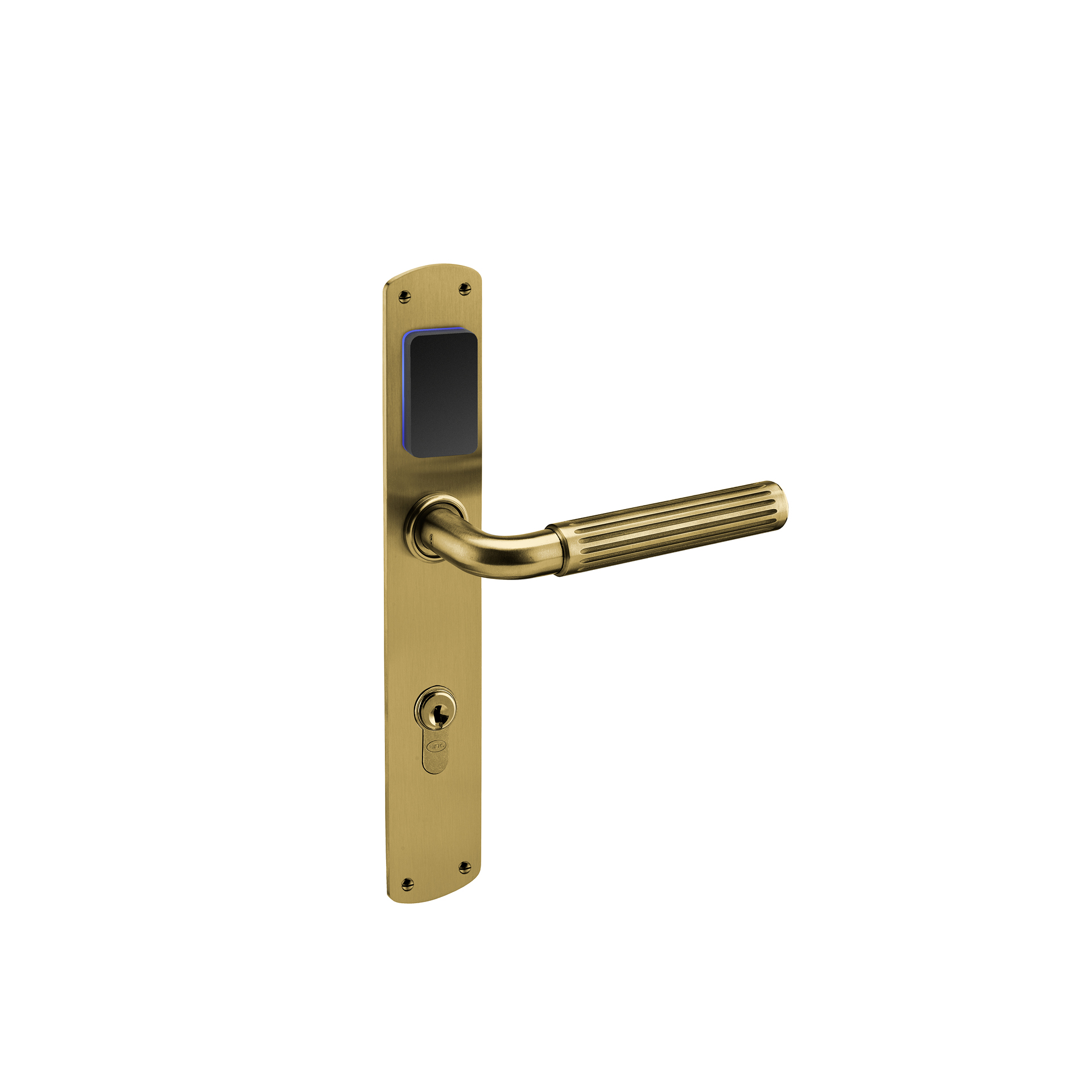 0_116902664_14124820666db08db908_0988822